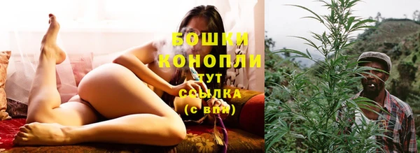 стафф Верхний Тагил